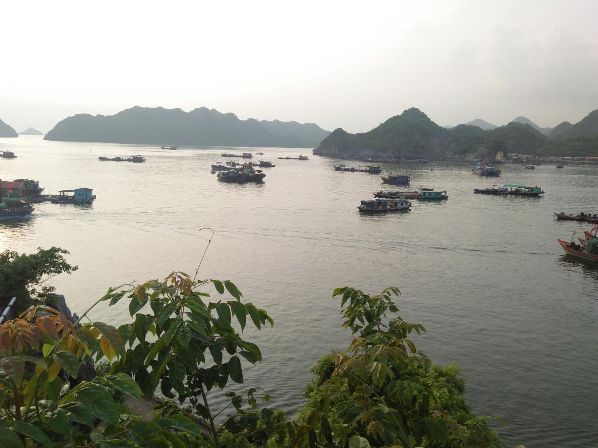 Cat Ba Victory Hostel Dong Khe Sau Luaran gambar