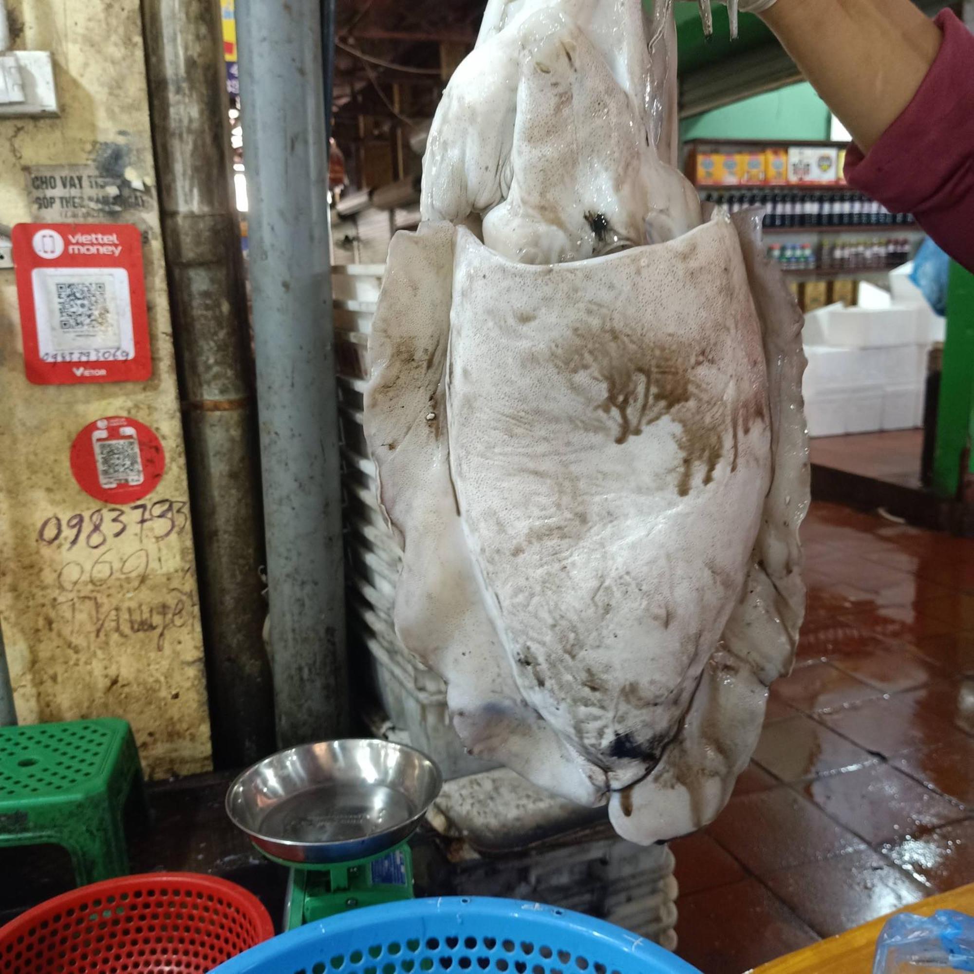 Cat Ba Victory Hostel Dong Khe Sau Luaran gambar